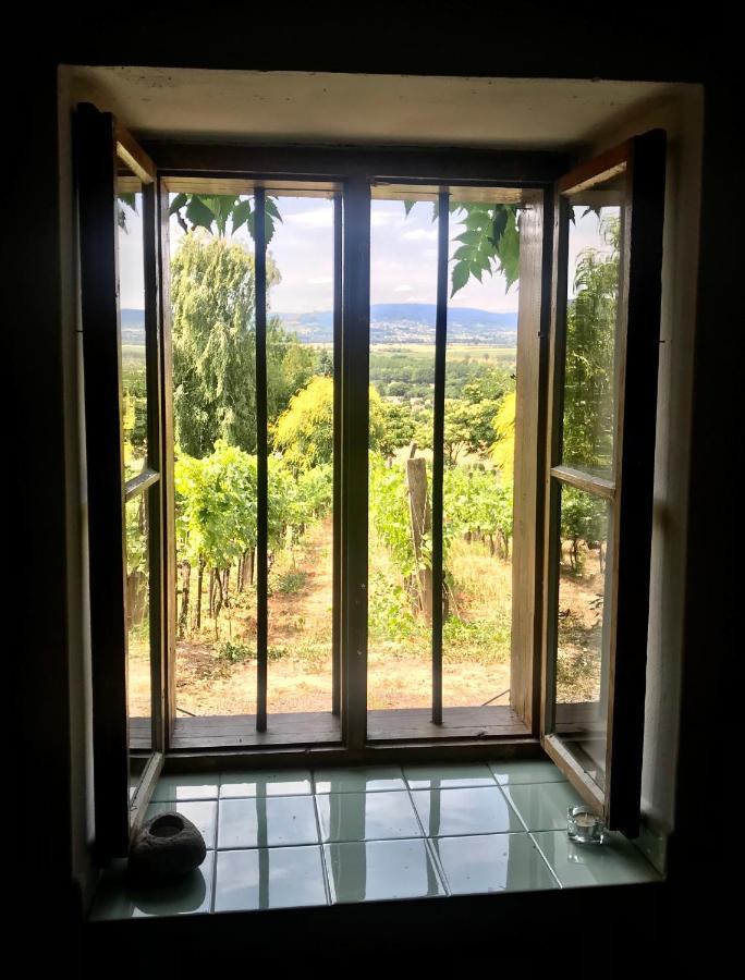 Villa Kofal Pince Raposka Exterior foto