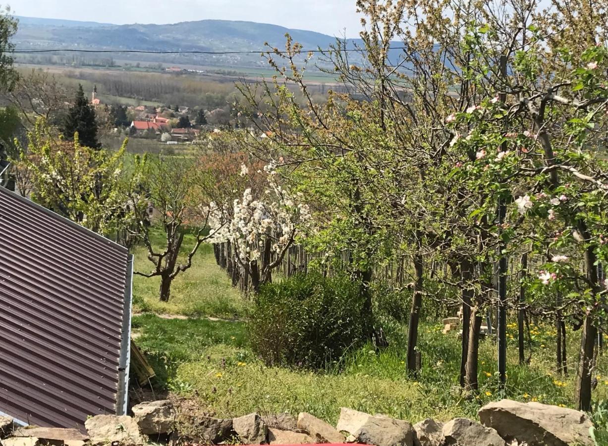Villa Kofal Pince Raposka Exterior foto