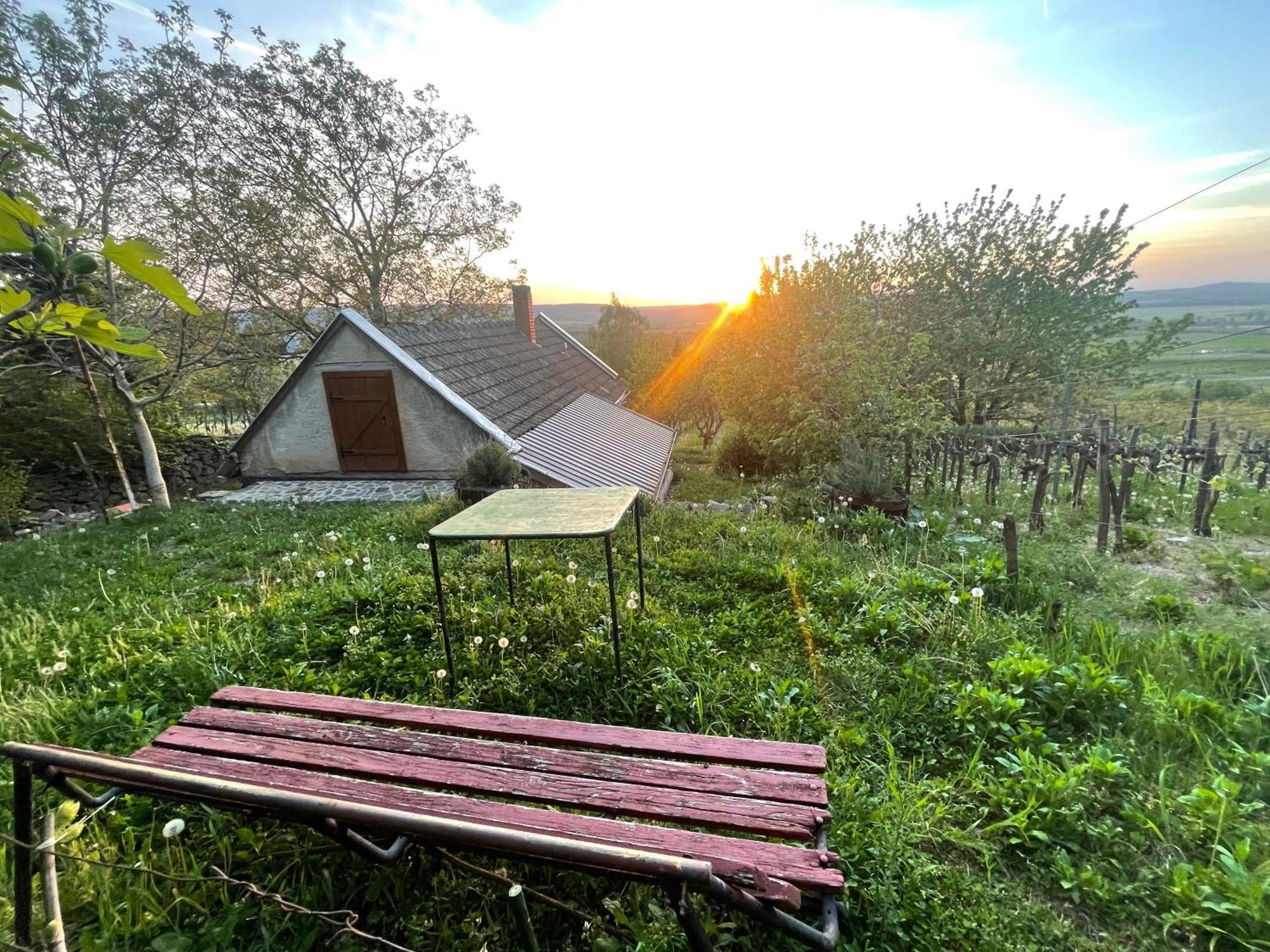 Villa Kofal Pince Raposka Exterior foto